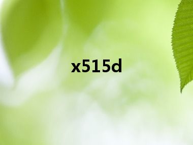 x515d