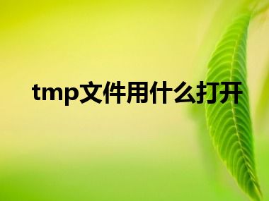tmp文件用什么打开