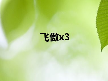 飞傲x3