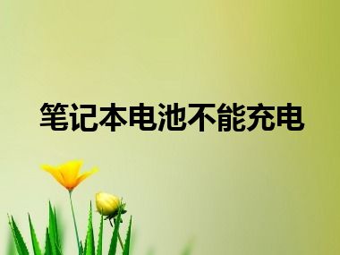 笔记本电池不能充电