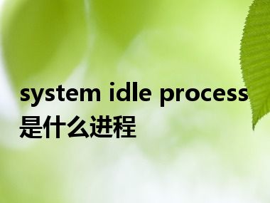 system idle process是什么进程