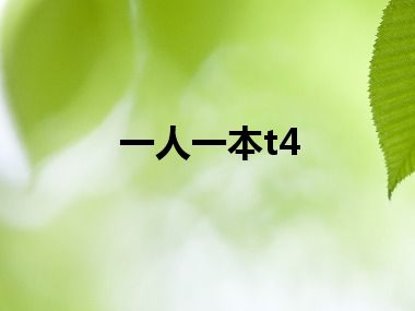 一人一本t4