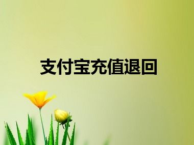 支付宝充值退回