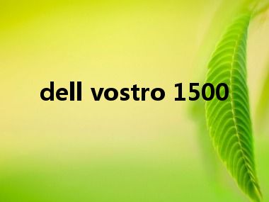 dell vostro 1500