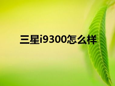 三星i9300怎么样