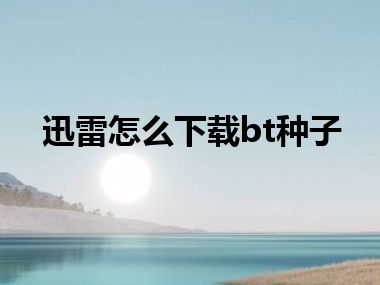 迅雷怎么下载bt种子