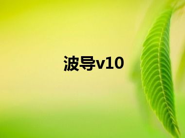 波导v10