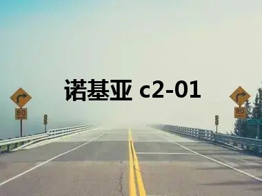 诺基亚 c2-01