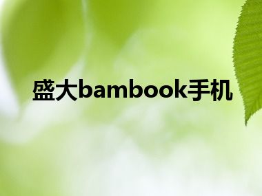 盛大bambook手机