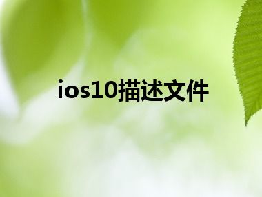 ios10描述文件