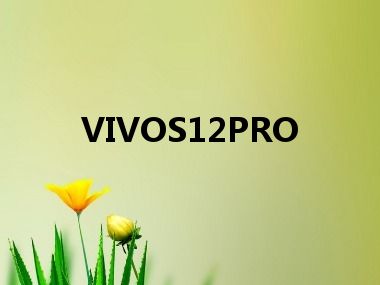 VIVOS12PRO