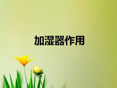 加湿器作用
