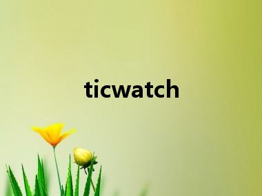 ticwatch