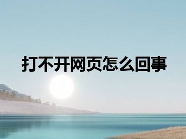 打不开网页怎么回事