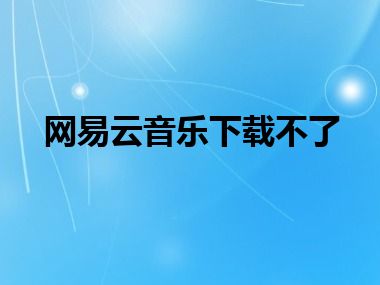 网易云音乐下载不了