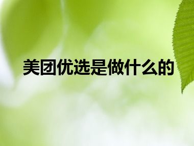美团优选是做什么的