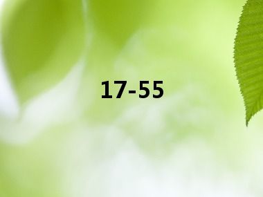 17-55