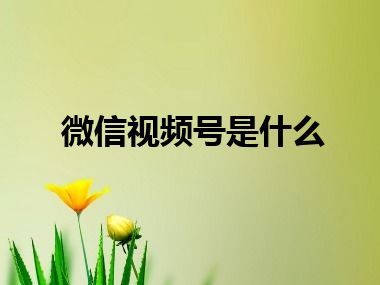 微信视频号是什么