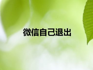 微信自己退出