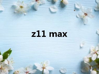 z11 max