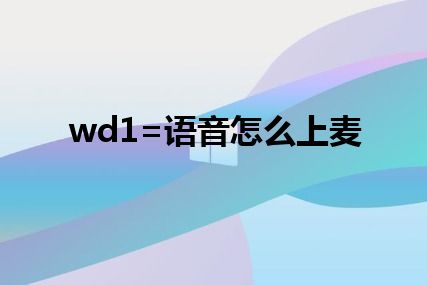 wd1=语音怎么上麦