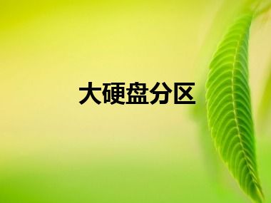大硬盘分区