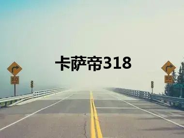卡萨帝318