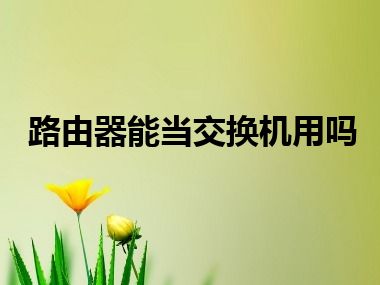 路由器能当交换机用吗