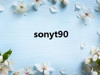 sonyt90