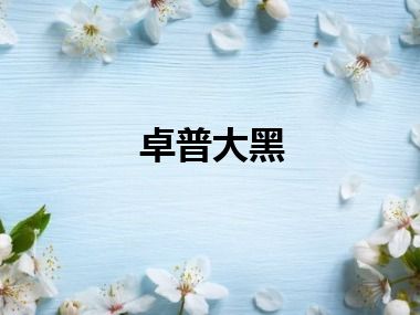 卓普大黑