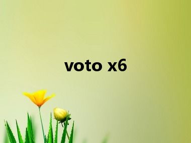 voto x6