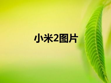 小米2图片