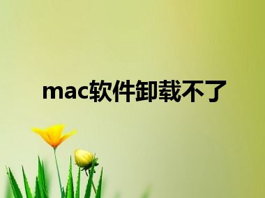 mac软件卸载不了