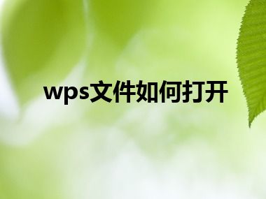 wps文件如何打开