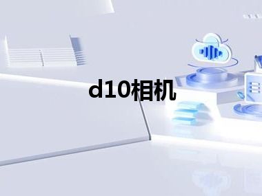 d10相机