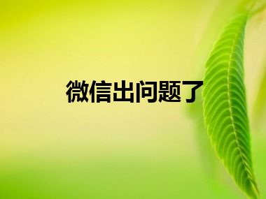 微信出问题了