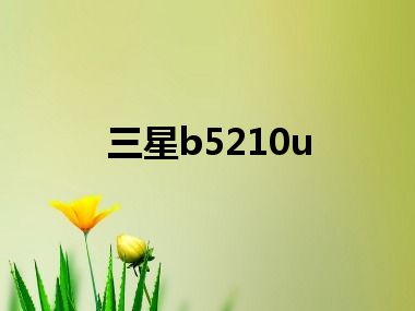 三星b5210u