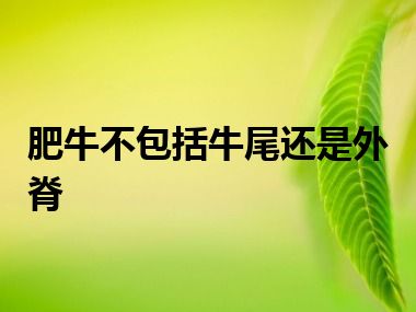 肥牛不包括牛尾还是外脊