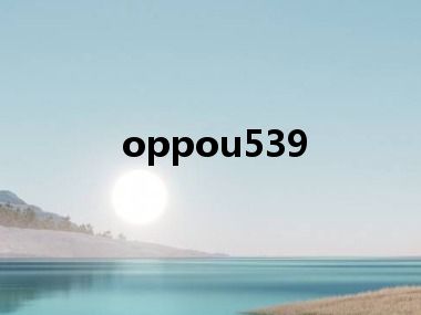 oppou539