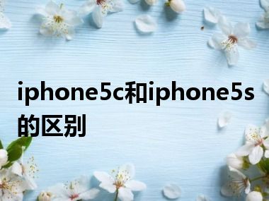 iphone5c和iphone5s的区别