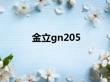 金立gn205