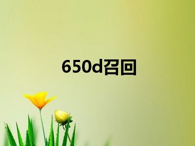 650d召回