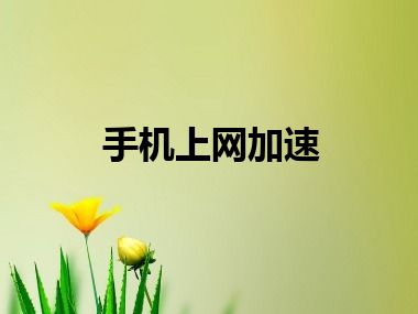 手机上网加速