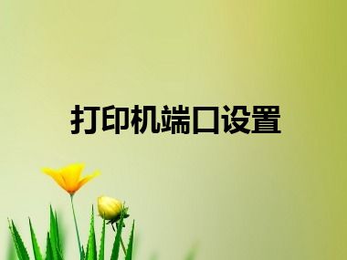 打印机端口设置