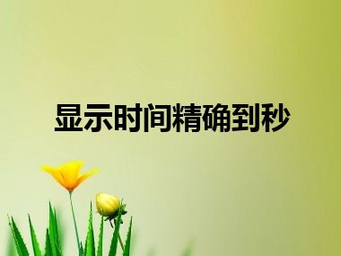 显示时间精确到秒