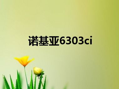 诺基亚6303ci