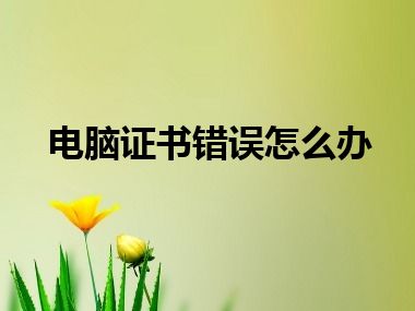 电脑证书错误怎么办