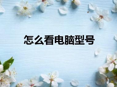 怎么看电脑型号