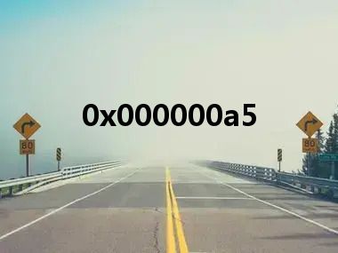 0x000000a5