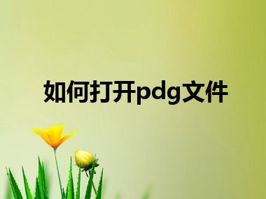 如何打开pdg文件